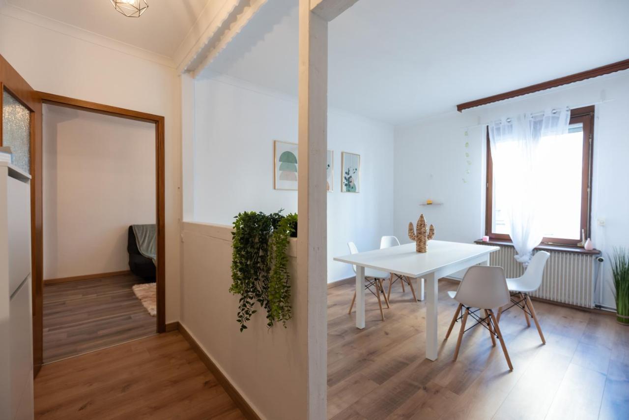 Appartement Cosy De 80 M2 Mulhouse Bagian luar foto